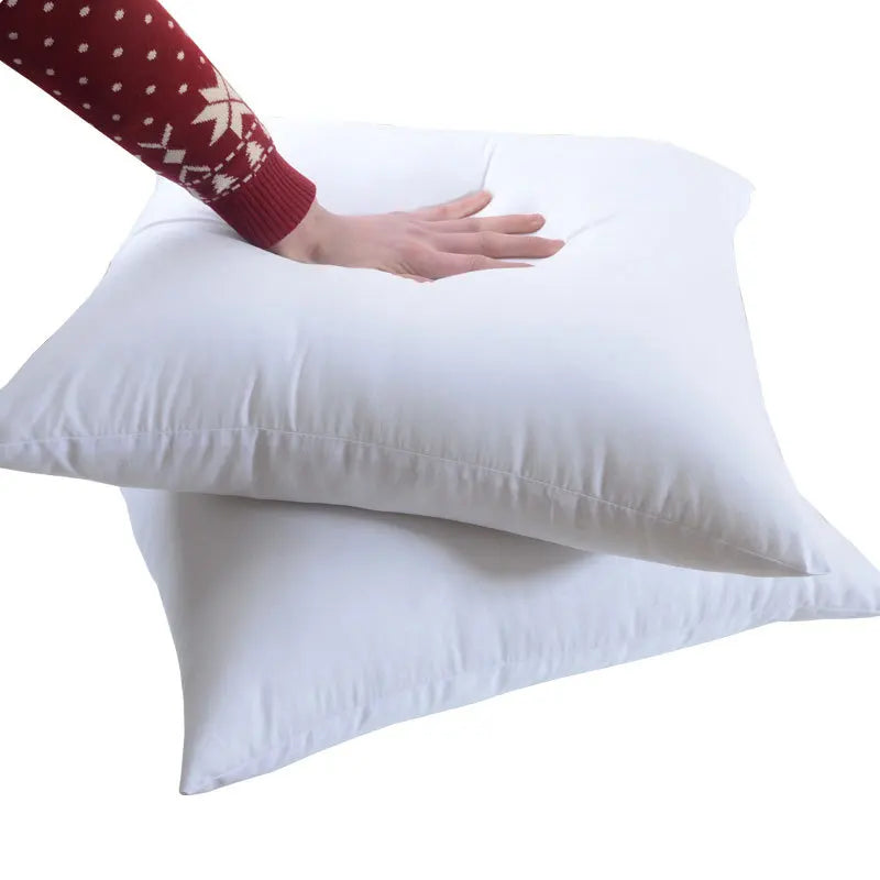 Cozy Comfort Sleep Pillows